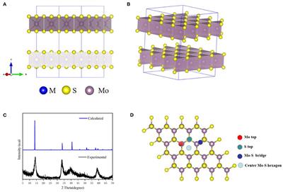 Metal-Ions Intercalation Mechanism in Layered Anode From First-Principles Calculation